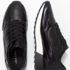 Discount βοΈ Anna Field Trainers - Black π 10 Discount βοΈ Anna Field Trainers - Black π -My Luxe Wardrobe Sales Store 3de5352de859430ebe3c16d32e78913d