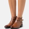 Cheap 🥰 Anna Field LEATHER - Ankle Boots - Cognac ⌛