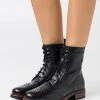 Buy 😀 Anna Field LEATHER - Lace-up Ankle Boots - Black 🎁